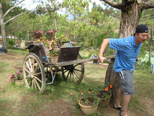 Picture of a reporter Thien Huynh pulling a cart
