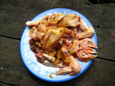 Picture of a well seasoned vietnamese duck dish